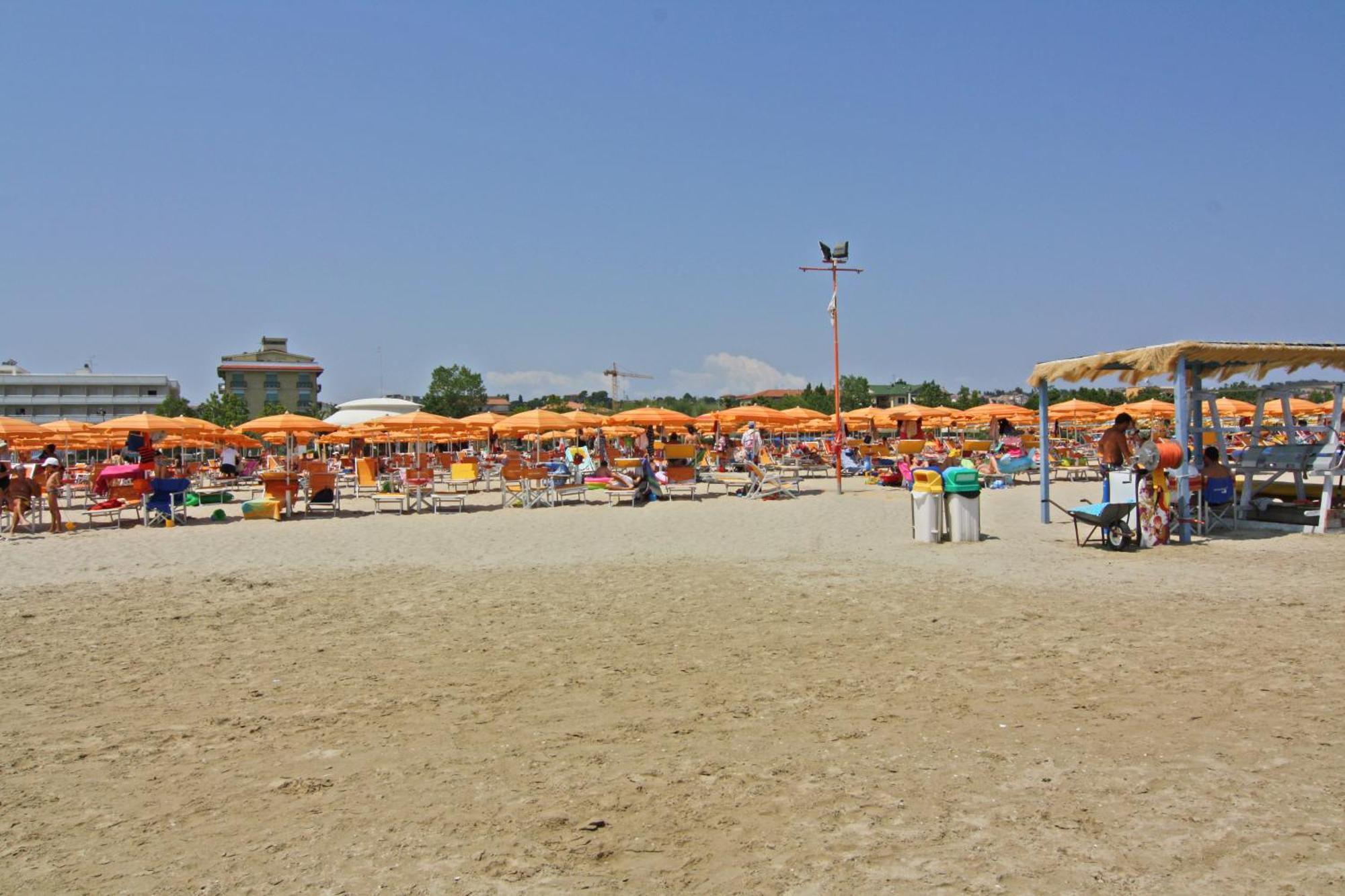 Cesare 3*